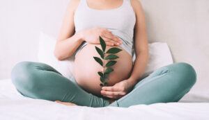 Tratamiento de fertilidad Natural