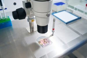 Procedimiento de Inseminación artificial en un laboratorio