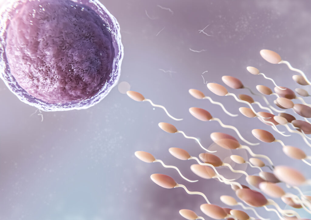fecundación in vitro en Bucaramanga